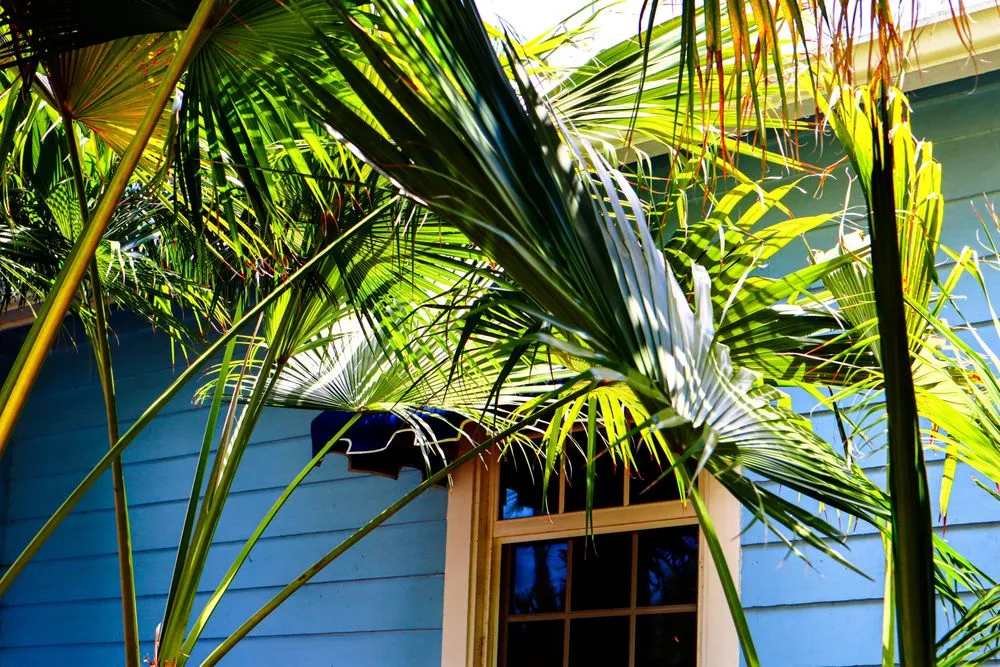 Trusted yard maintenance experts serving Fort Myers, FL - Peer Landscaping