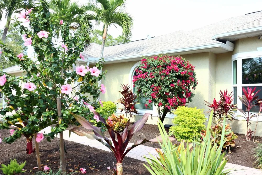 Reliable residential landscaping for year-round maintenance in Fort Myers, FL by Peer Landscaping