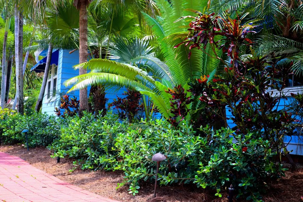 Expert landscaping services in Fort Myers, FL by Peer Landscaping