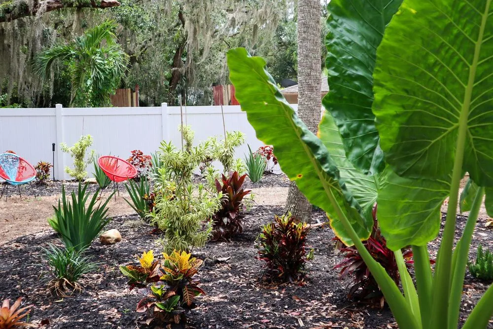 Trusted lawn care service experts serving Fort Myers, FL - Peer Landscaping