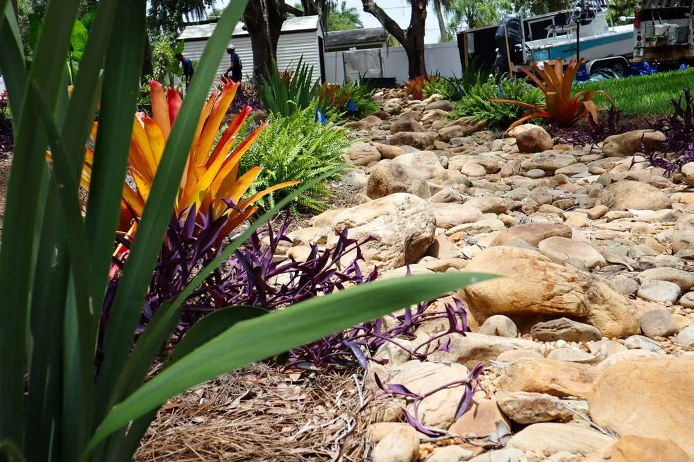 Affordable landscaping services for beautiful yards across Fort Myers, FL - Peer Landscaping