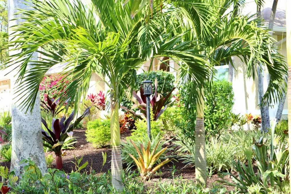 Custom lawn care service experts serving Fort Myers, FL - Peer Landscaping