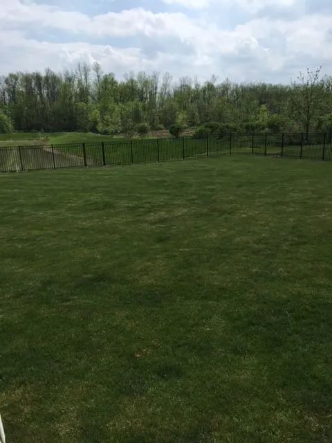 Trusted landscaping services with custom design across Clarence Center, NY - Peerless Landscape Maintenance