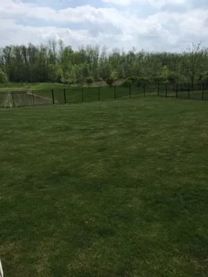 Peerless Landscape Maintenance