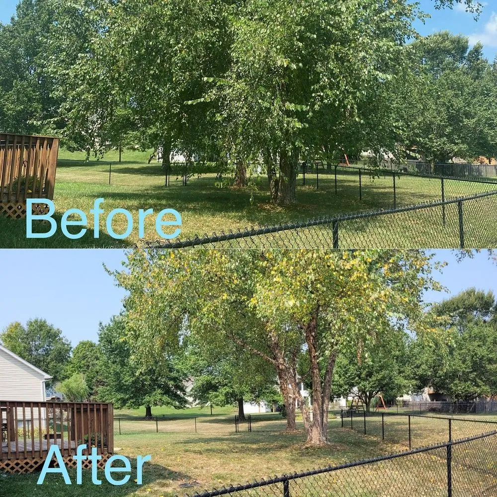 Top-rated yard maintenance in Saint Louis, MO - Peerless Property Maintenance