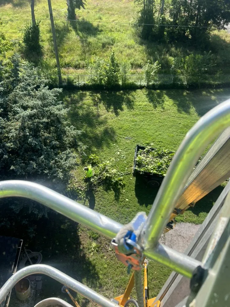 Local outdoor landscaping with custom design in Neosho, MO by Peewee lawn care services