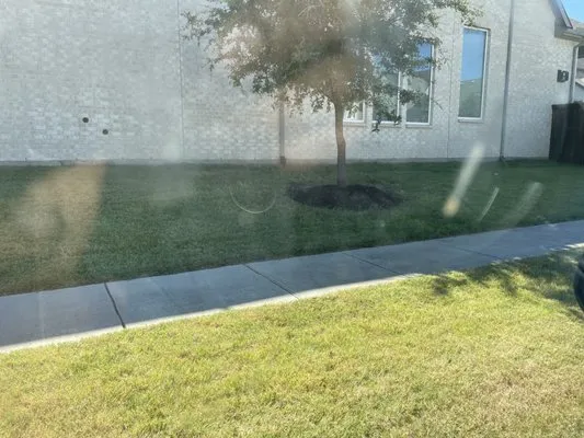 Peezy Premiere Lawn Service Logo