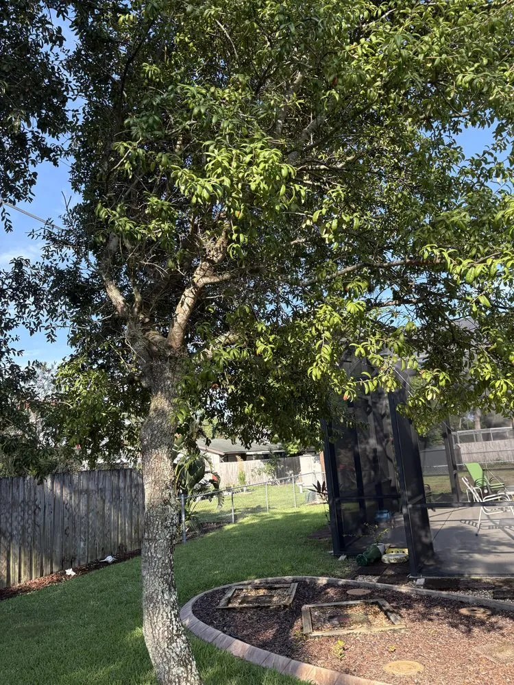 Custom yard maintenance for outdoor upgrades across Port Orange, FL - Peffer’s Stump Removal & Landscaping