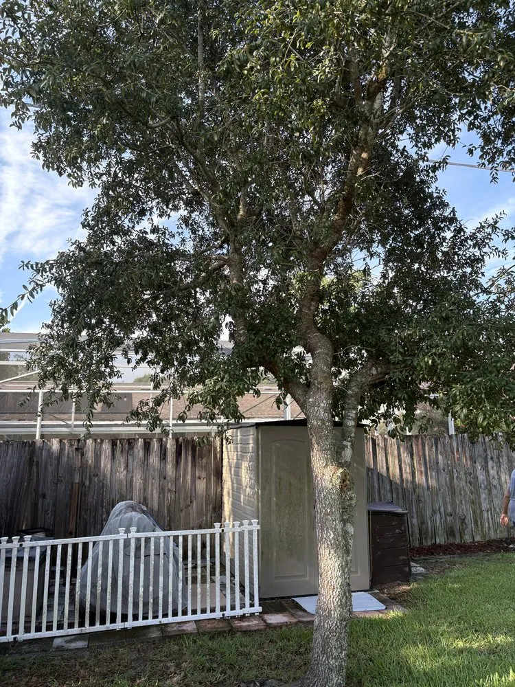 Local landscape design in Port Orange, FL - Peffer’s Stump Removal & Landscaping