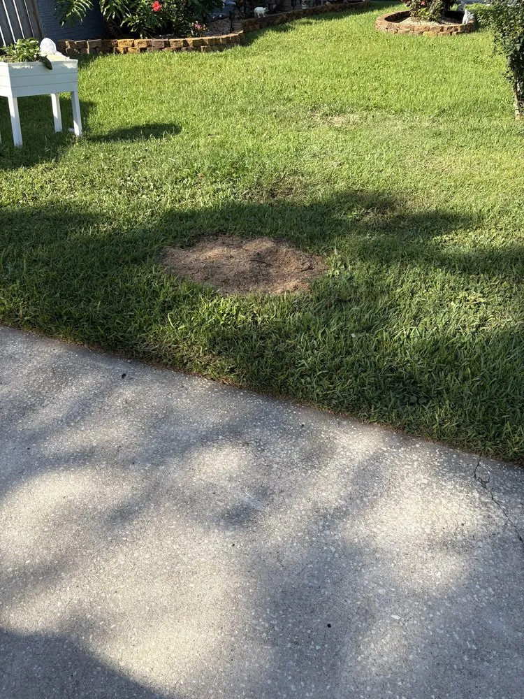 Expert outdoor landscaping experts serving Port Orange, FL - Peffer’s Stump Removal & Landscaping