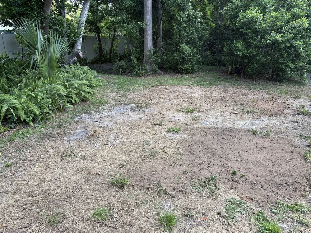 Top-rated landscaping services for residential properties in Port Orange, FL by Peffer’s Stump Removal & Landscaping