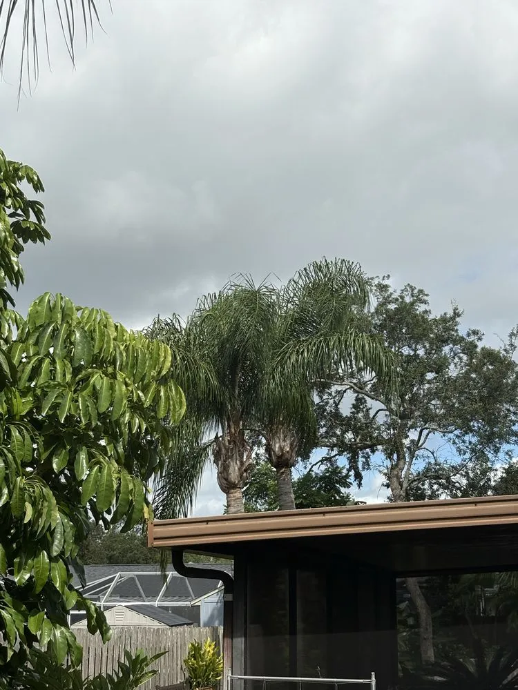 Expert yard maintenance in Port Orange, FL by Peffer’s Stump Removal & Landscaping