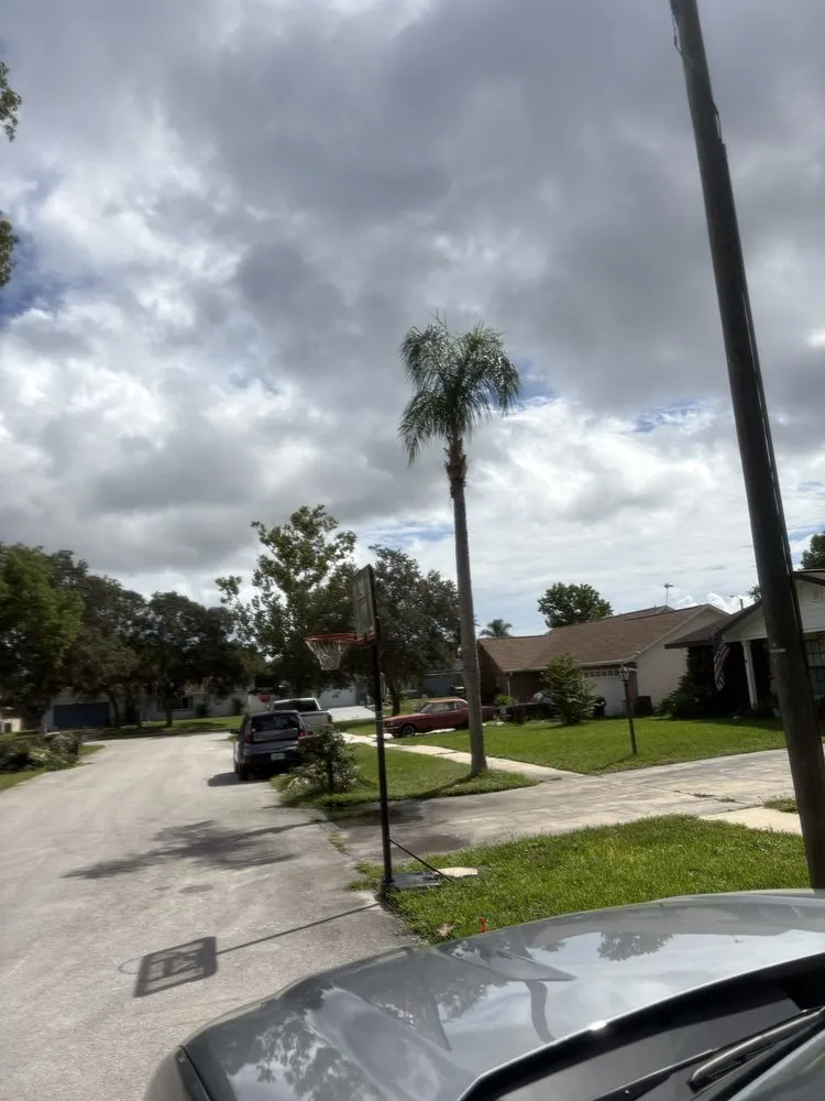 Local landscape installation with custom design in Port Orange, FL by Peffer’s Stump Removal & Landscaping