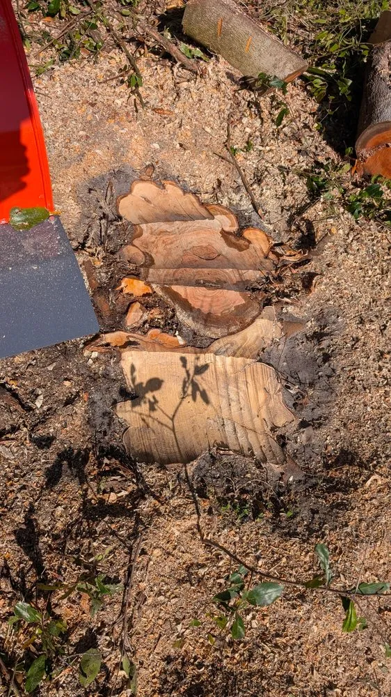 Trusted garden landscaping experts serving Port Orange, FL - Peffer’s Stump Removal & Landscaping