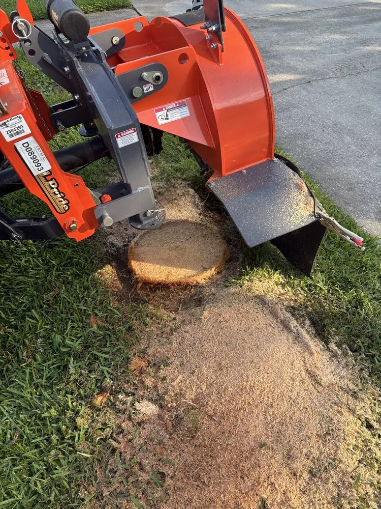 Expert yard cleanup service near you in Port Orange, FL by Peffer’s Stump Removal & Landscaping
