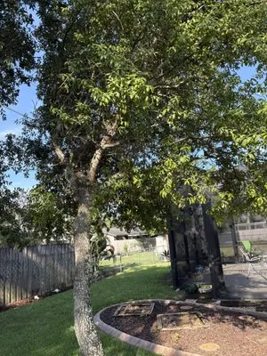 Peffer’s Stump Removal & Landscaping Logo