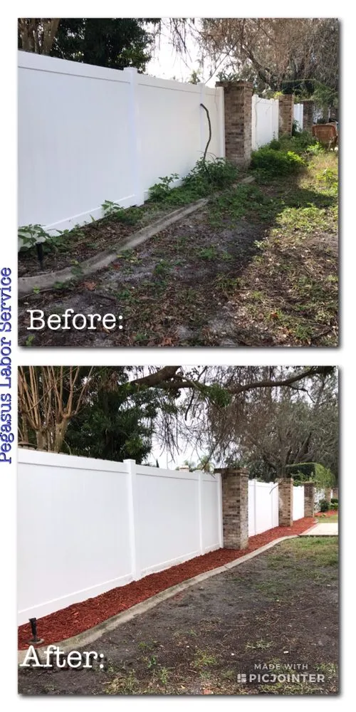 Custom yard cleanup service for year-round maintenance in St Augustine, FL by Pegasus Labor Service