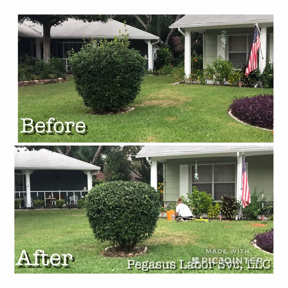 Top-rated landscape design in St Augustine, FL - Pegasus Labor Service