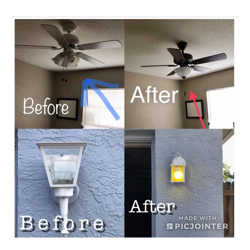 Trusted yard cleanup service experts serving St Augustine, FL - Pegasus Labor Service