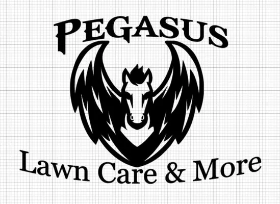 Pegasus Lawn Care & More