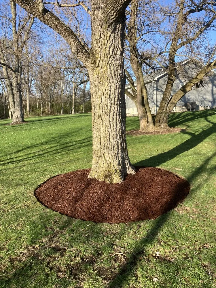 Local residential landscaping for beautiful yards in Smithfield, PA by Pegg’s Lawn Care