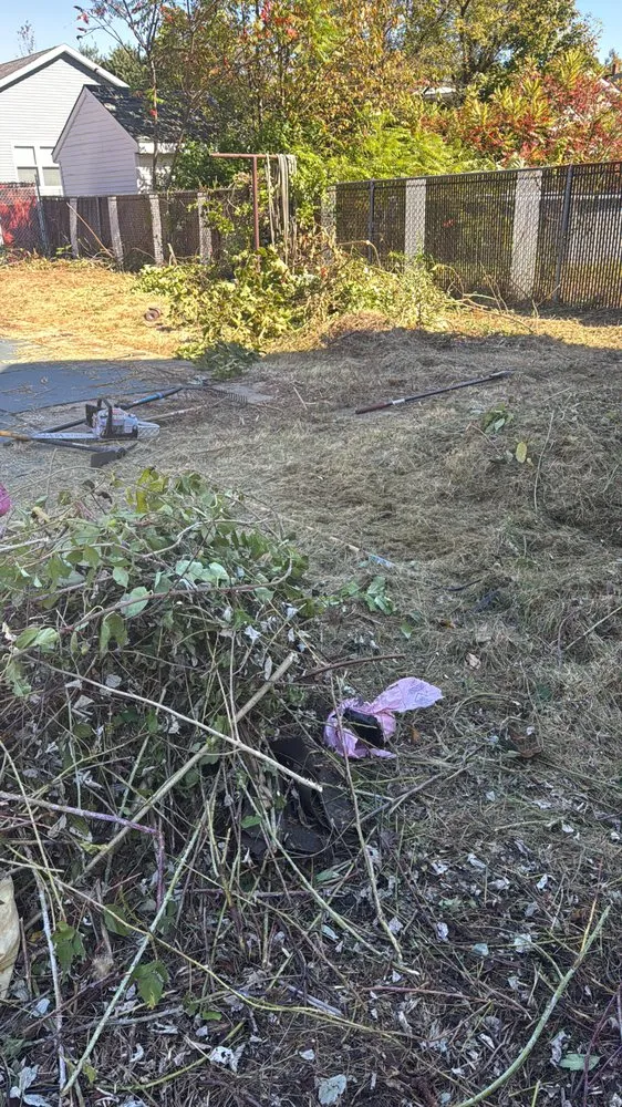 Reliable residential landscaping with custom design in Scranton, PA by Peguero Landscaping