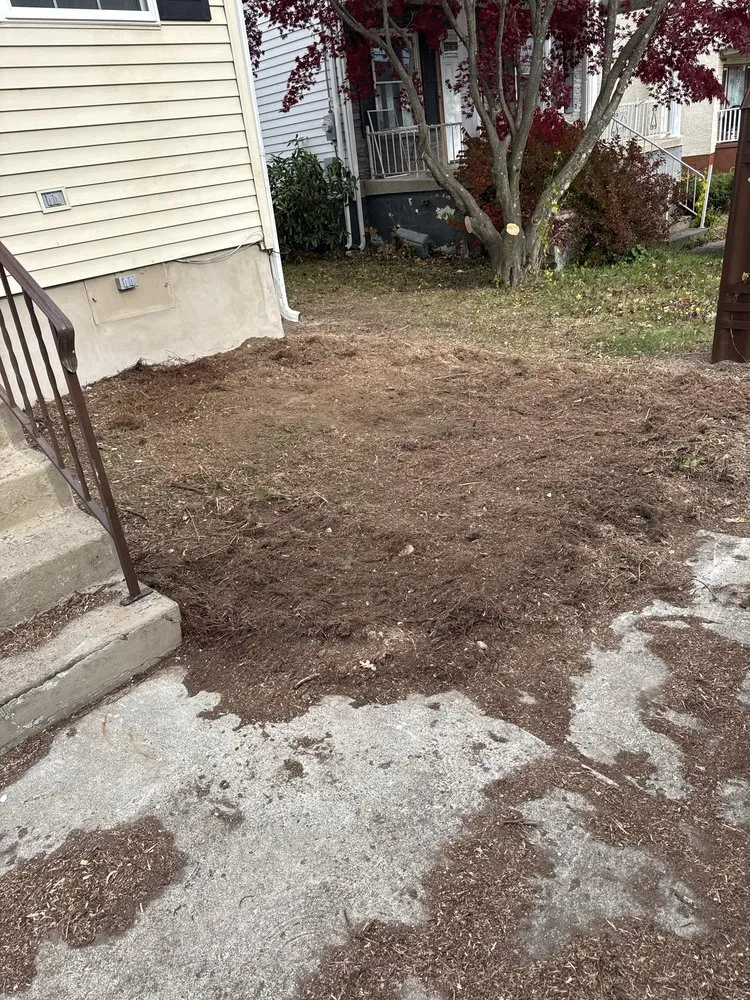 Trusted yard maintenance experts serving Scranton, PA - Peguero Landscaping