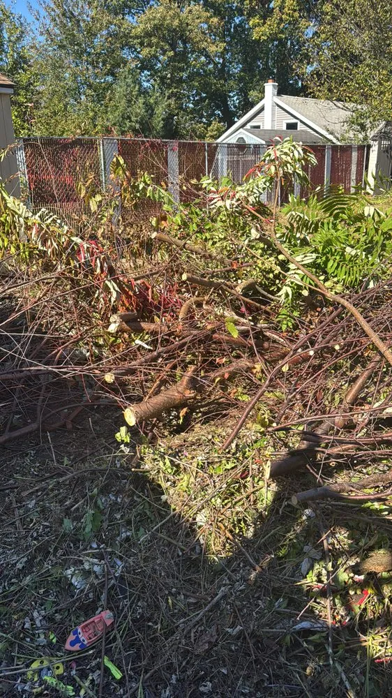 Local residential landscaping in Scranton, PA - Peguero Landscaping