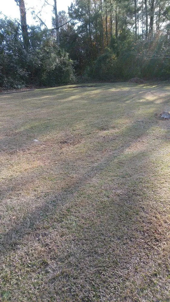 Reliable lawn mowing service experts serving Lake City, SC - Peguese Scrapping