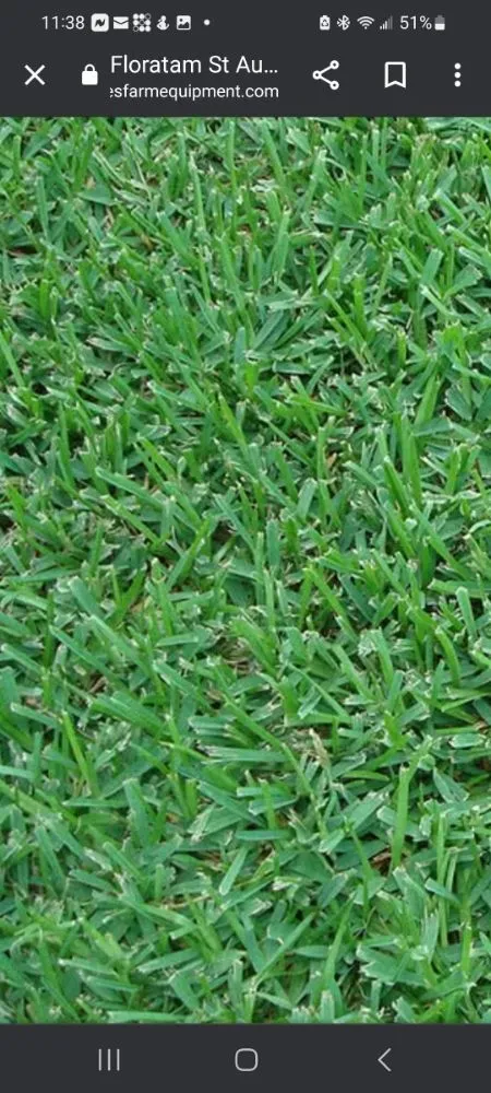 Custom garden landscaping in Orlando, FL - Peir Green Sprinklers