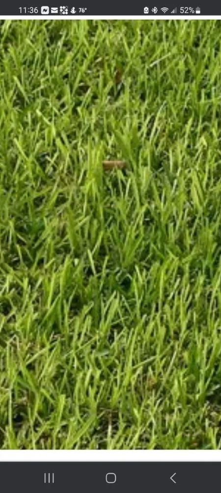 Expert garden landscaping in Orlando, FL - Peir Green Sprinklers