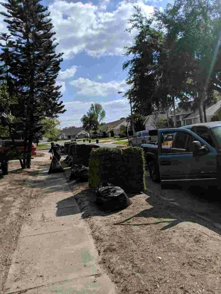 Professional yard maintenance in Orlando, FL by Peir Green Sprinklers