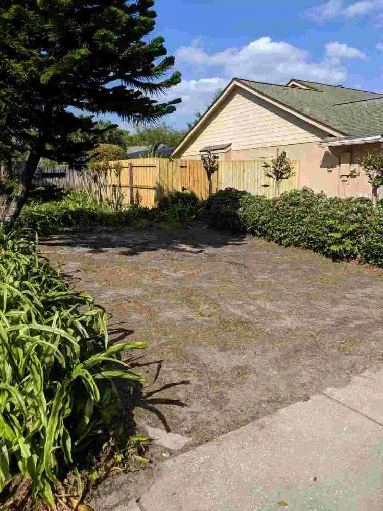 Affordable lawn care service for year-round maintenance in Orlando, FL by Peir Green Sprinklers