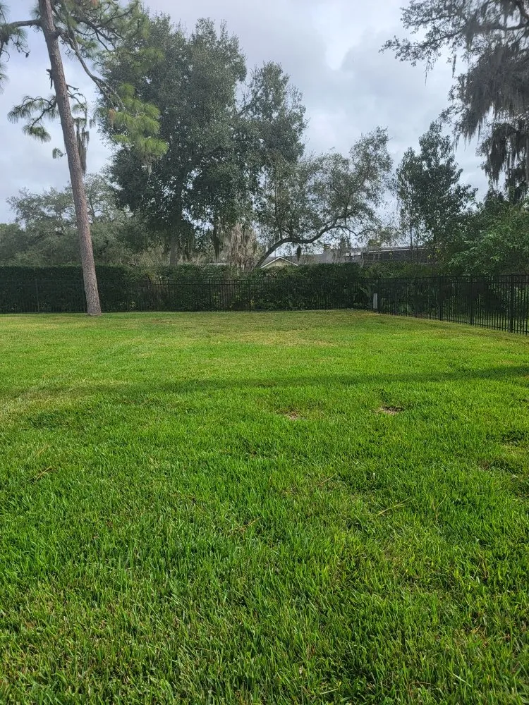 Affordable landscape installation for residential properties across Orlando, FL - Peir Green Sprinklers