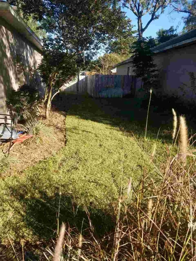 Local garden landscaping in Orlando, FL by Peir Green Sprinklers