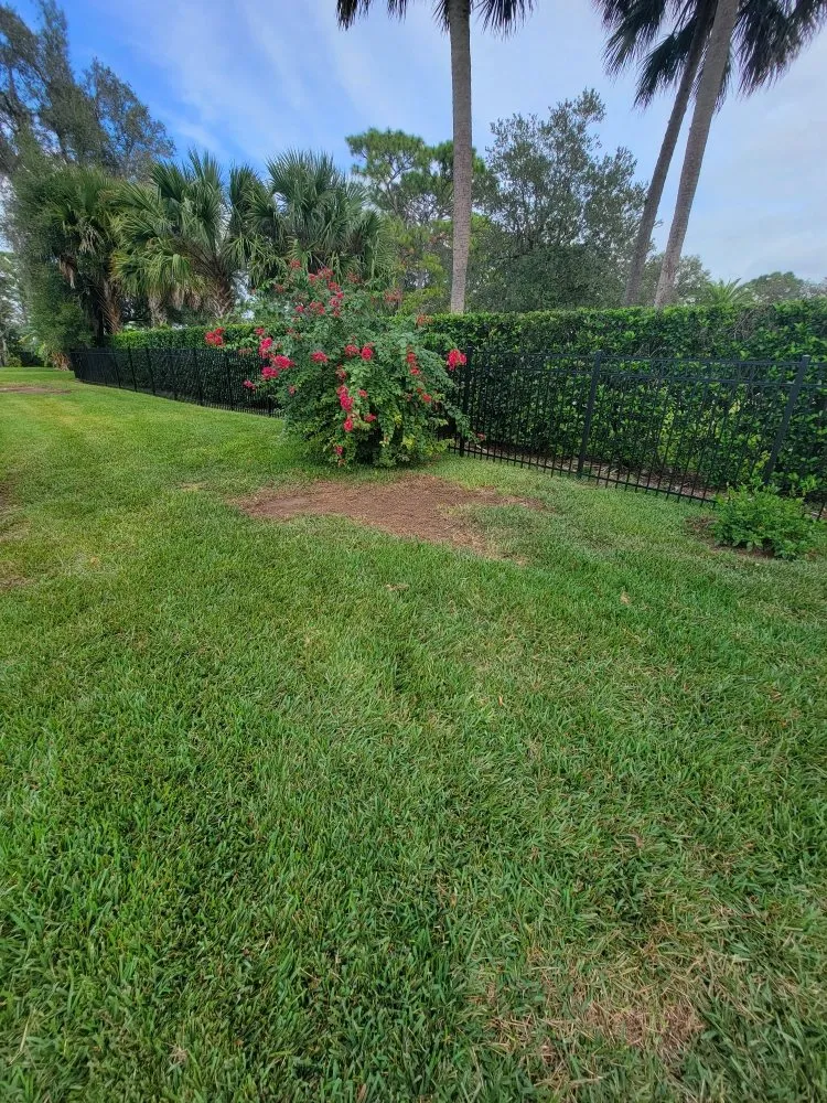 Professional lawn mowing service in Orlando, FL by Peir Green Sprinklers