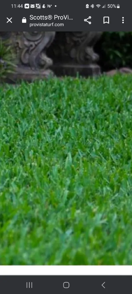 Professional lawn mowing service experts serving Orlando, FL - Peir Green Sprinklers