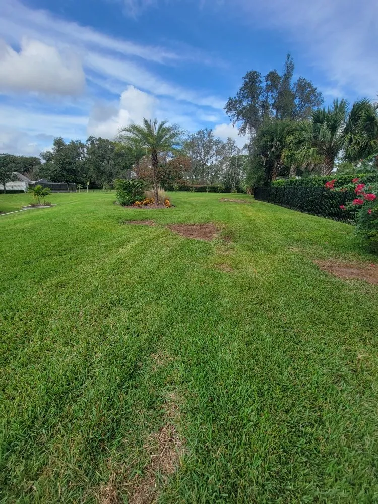 Affordable landscape installation for beautiful yards in Orlando, FL by Peir Green Sprinklers