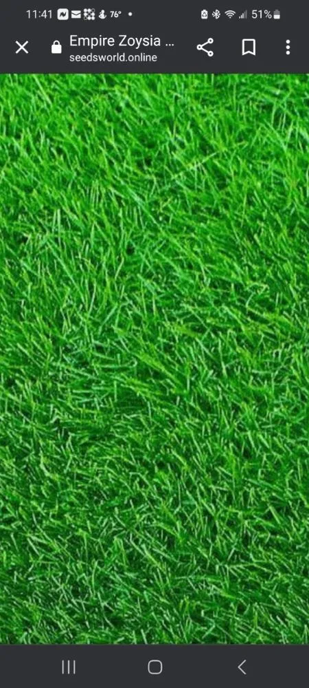 Reliable landscaping services in Orlando, FL - Peir Green Sprinklers