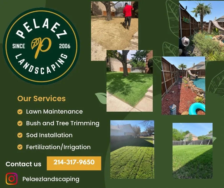 Custom yard maintenance in Wylie, TX by Pelaez Landscape