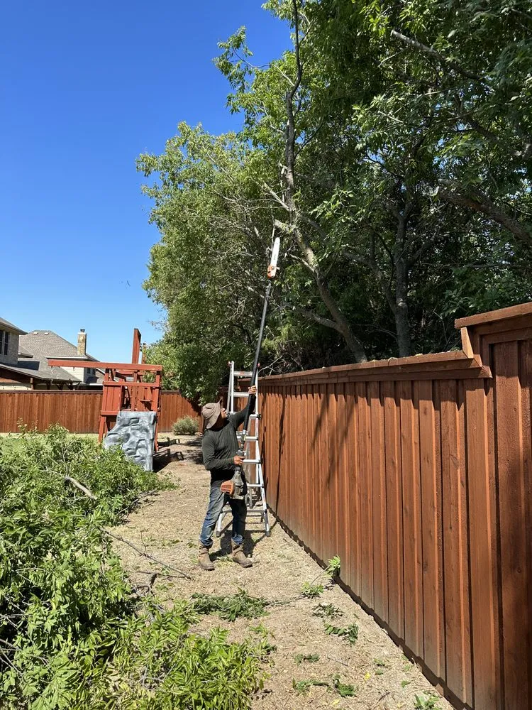 Trusted landscaping services for year-round maintenance in Wylie, TX by Pelaez Landscape