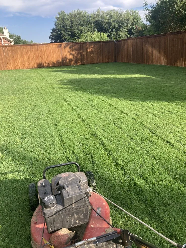 Trusted yard cleanup service in Wylie, TX by Pelaez Landscape