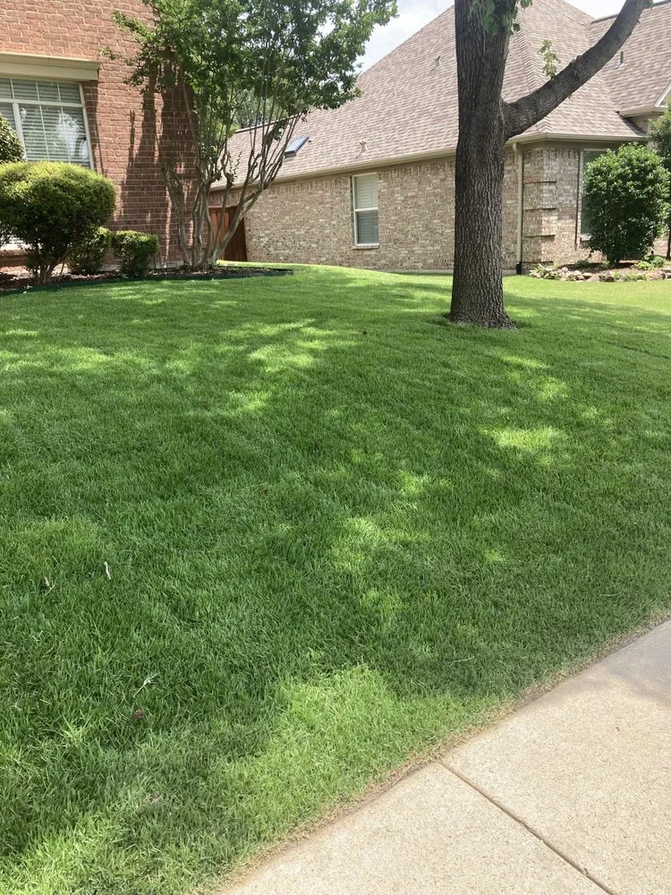 Custom yard maintenance near you in Wylie, TX by Pelaez Landscape