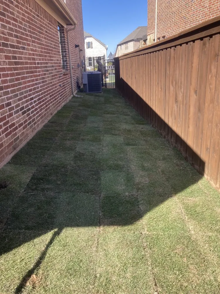 Top-rated yard cleanup service for homes in Wylie, TX by Pelaez Landscape