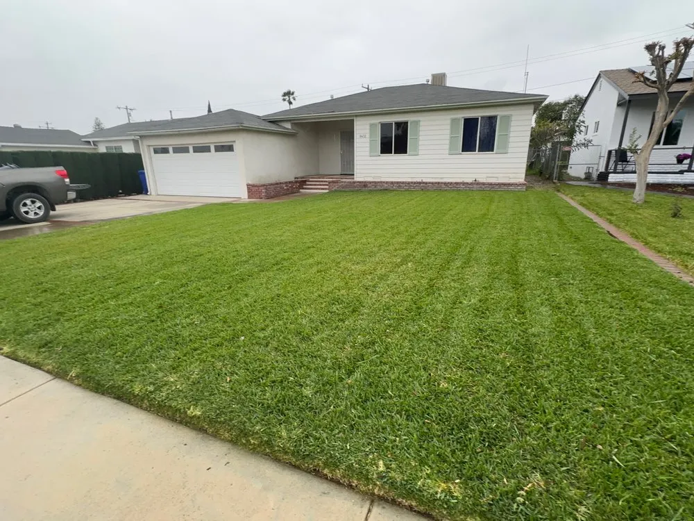 Top-rated residential landscaping experts serving Jess Ranch, CA - Pelayo Landscaping Services