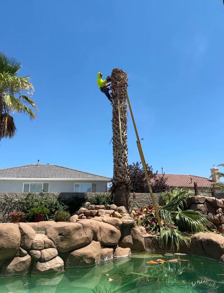 Reliable garden landscaping experts serving Jess Ranch, CA - Pelayo Landscaping Services