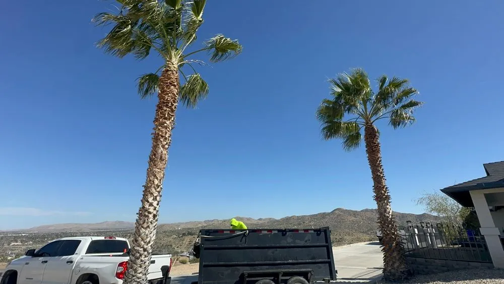 Reliable landscape design for beautiful yards in Jess Ranch, CA by Pelayo Landscaping Services