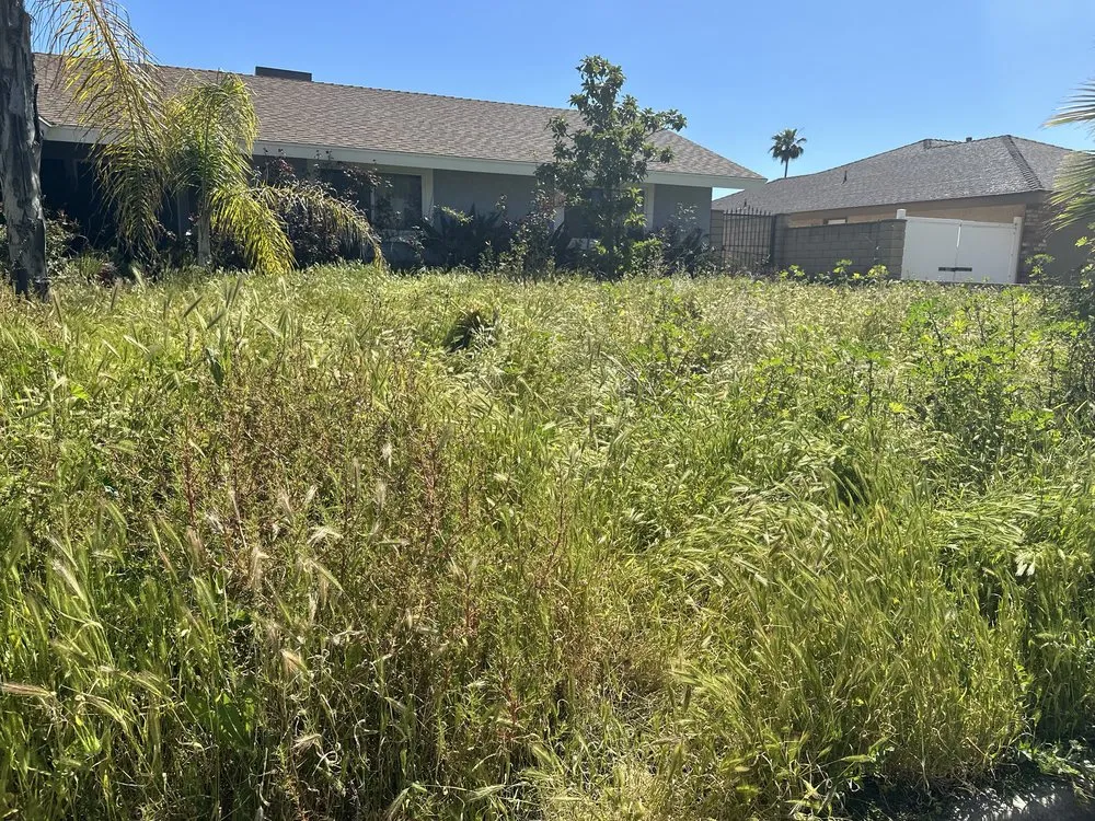 Affordable yard cleanup service near you in Jess Ranch, CA by Pelayo Landscaping Services
