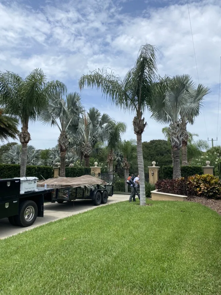 Expert residential landscaping experts serving Port Orange, FL - PelCare Lawn and Landscaping