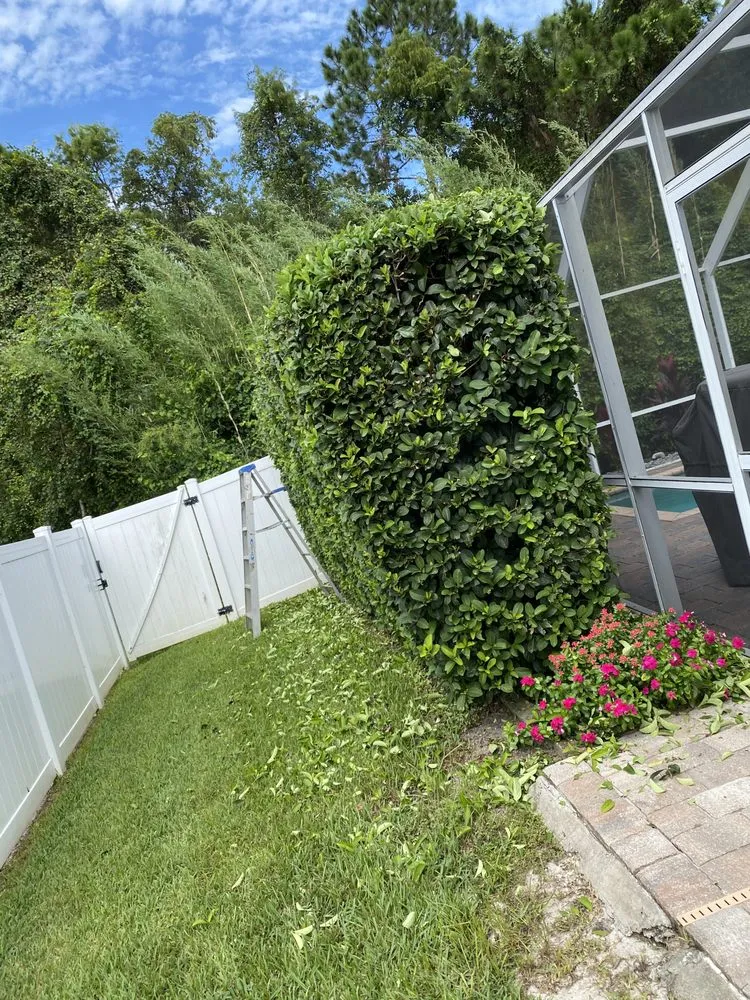 Trusted lawn mowing service in Port Orange, FL by PelCare Lawn and Landscaping